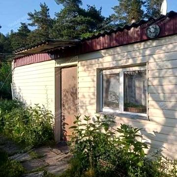 Будинок у Головачі біля соснового лісу