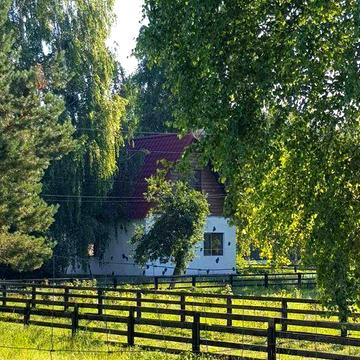 Продається маєток. Будівлі та земля.