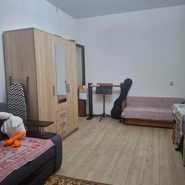Однокомнатная квартира с ремонтом на Приморской, 376457