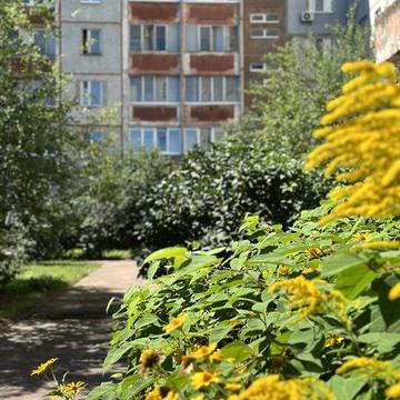 Трехкомнатная квартира. Гончая, 84. Центр.