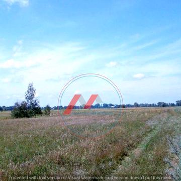 Літочки, Броварський, Київська область 4800.0 USD