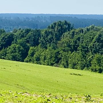 Балістична