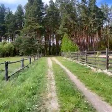 Будинок з земельною ділянкою 45 соток біля соснового лісу