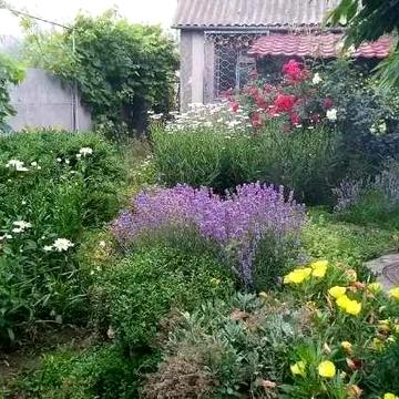 (13) Продам компактний будинок.в с. Олександрівка (Чорноморськ).