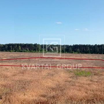 Гаврилівка, Бучанський, Київська область 8000.0 USD