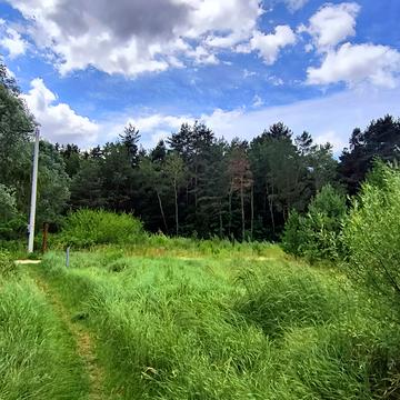 Паланки, Яворівський, Львівська область 42000.0 USD