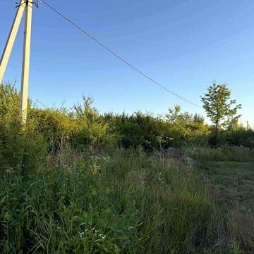 Ярослава Мудрого