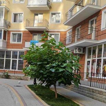 Продам 2 комн квартиру в ЖК "Континент"/Люстдорфская дорога ЖК Континент