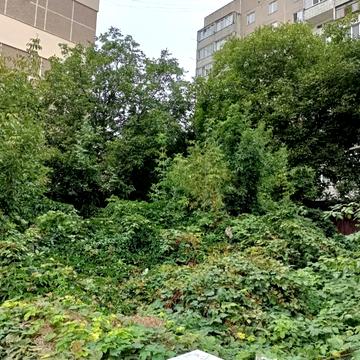 Центр, Вінниця, Вінницька область 100000.0 USD