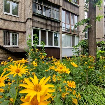 Криворізька вул., 22б