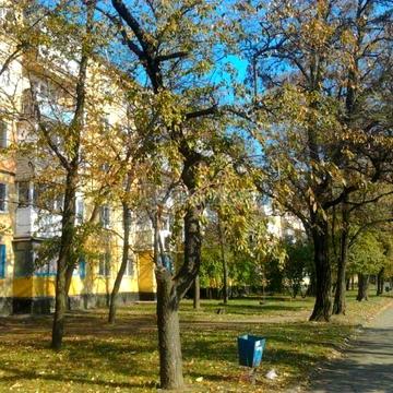 Продам реальную 2 к.кв р-н проспекта Науки / Гагарина Нагорный, парк