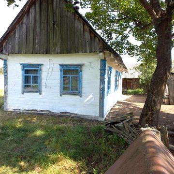 Продам будинок із великою земельною ділянкою