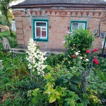 Продам будинок  за містом