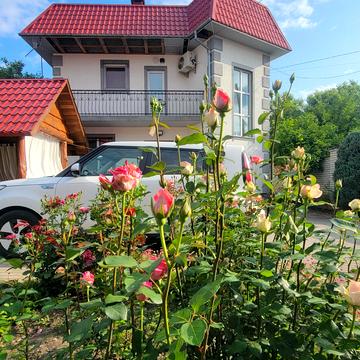 Романа Шухевича вул.