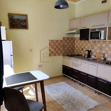 Довгострокова оренда 1к Квартира Гойди вулиця