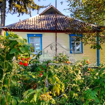 Польова