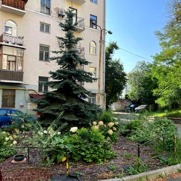 Олеся Гончара вул., 55