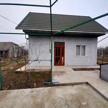 Дача 25 соток с садом и виноградником