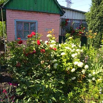 В садовому товаристві Мічуренец продається дача .