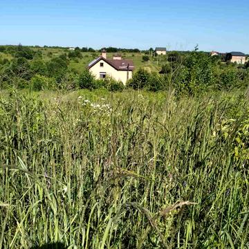 Давидів, Львівський, Львівська область 25000.0 USD