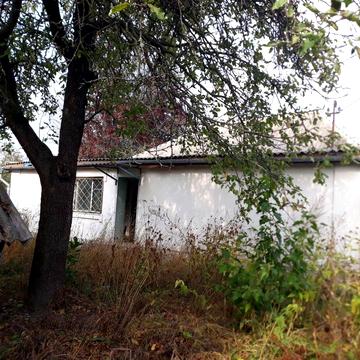 Ясногородка, Вишгородський район.земля з будинком.