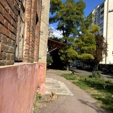 Продається простора фасадна квартира в центрі 2 кімнати індивідуальне