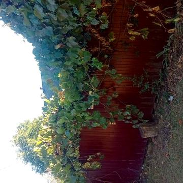 Будинок в селі Бужанка