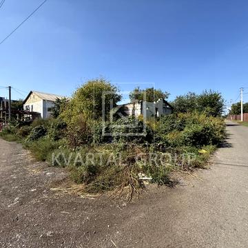 Леся Курбаша, 1