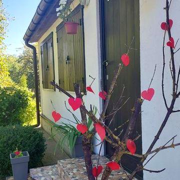 ЕКО САДИБА "КРИВА ЛИПА" біля Дніпра ! Сосновий ліс с.Прохорівка 2024