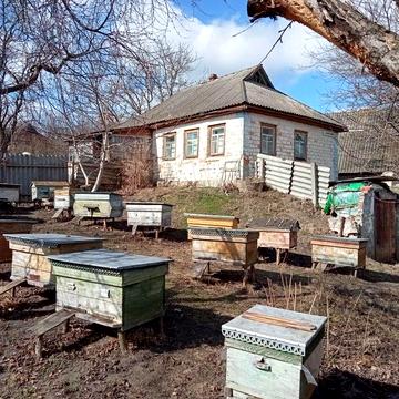 Продаж будинку з пасікою