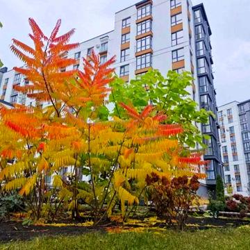 Продам 3 кімнатну квартиру ЖК Липки біля Парку і Озера! 87м2