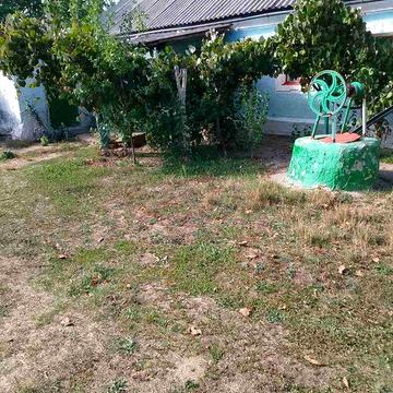 Продам будинок в селі Богданівка