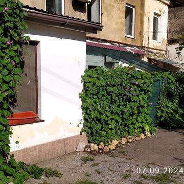 Мала Арнаутська вул., 62