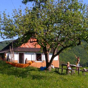 Здам будинок в Карпатах яремче