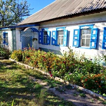 Продам  будинок з великою ділянкою в Єлизаветівці Дніпровського району