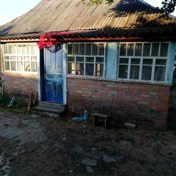 Продається уютний будинок біля лісу в с. Деревки.