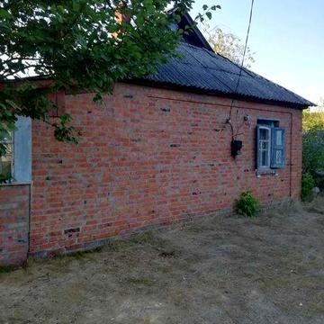 Продається уютний будинок біля лісу в с. Деревки.