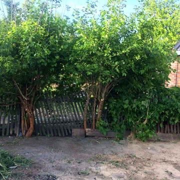 Продам часть дома Правый берег
