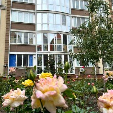 Продам 3х комн.квартиру  Совиньон, Академгородок ЖК Академгородок