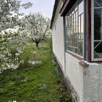 Продам будинок Новаки Житомирська обл.