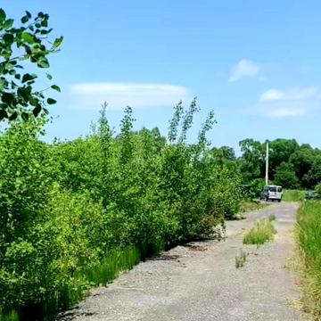 Затишна