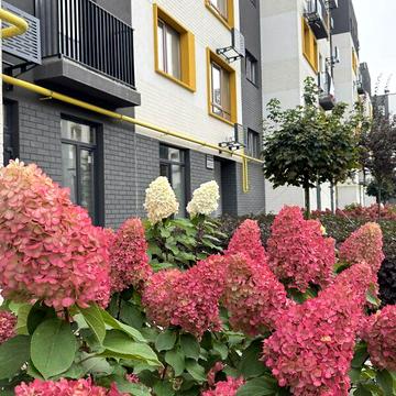 Продаж 1к Квартира Соборна (ІІІ Інтернаціоналу) вулиця ЖК Молодость