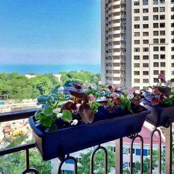 Сдам !СВОЮ! с прекрасным видом 1-к квартира