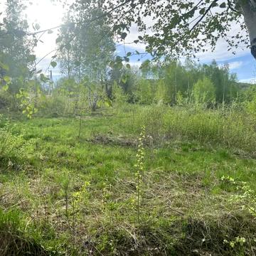 Малехів, Львівський, Львівська область 199000.0 USD