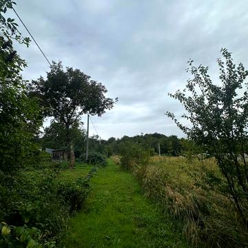 Анатолія Петрицького вул.