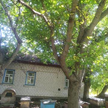 Продам будинок с.Ставок