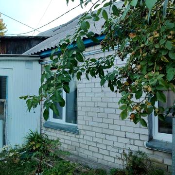 Бюджетне житло майже в Києві. Дім на дві сімї без посередників. Торг.
