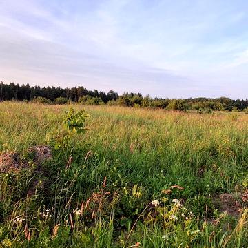 Ігнатія Лукасевича вул.