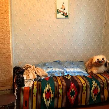 Василя Стуса, 28