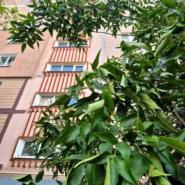 Продам большую (38 кв.м) квартиру в центре Южного